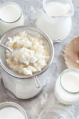  Kefir: A Tangy, Creamy Delight Bursting With Probiotic Goodness!